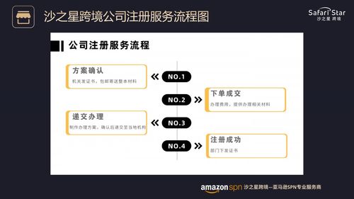 沙之星跨境公司及主要业务介绍