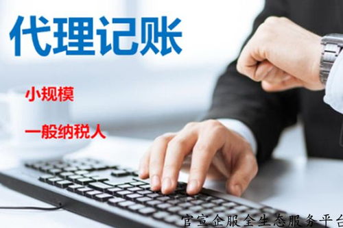天津专业记账报税常见问题,正规工商核名 信誉保证