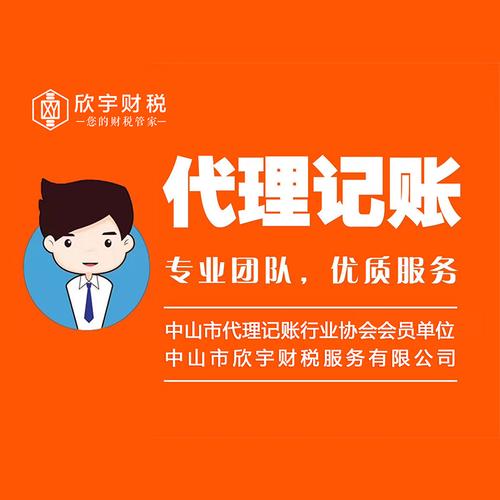 代理记账服务 小规模 一般纳税人企业记账报税 纳税申报 做账报税