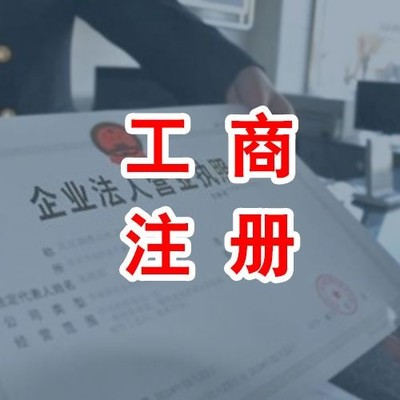 提供工商代理代理记账一般纳税人财务审计等服务